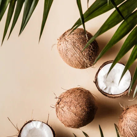 Nature's Best Kept Secret: The Scientific Benefits of Coconut Oil To Improve Your Pet's Skin & Fur